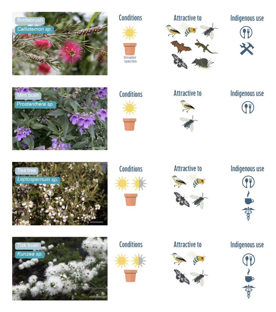 australian native plants guide